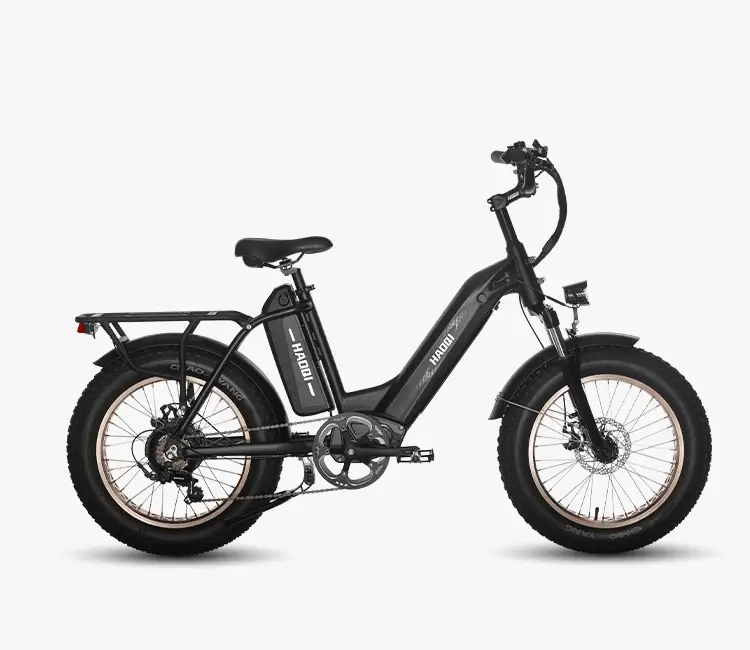 HAOQI Antelope Pro Dual Battery 750W Cargo Electric Bike Black Cargo Configurations R