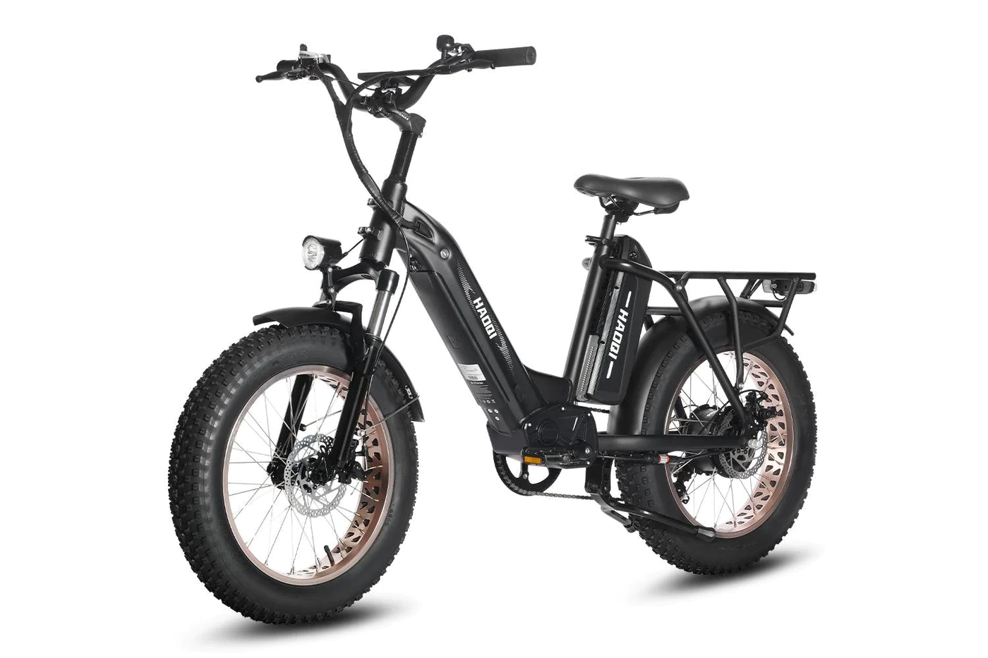 HAOQI Antelope Pro Dual Battery 750W Cargo Electric Bike Black FL