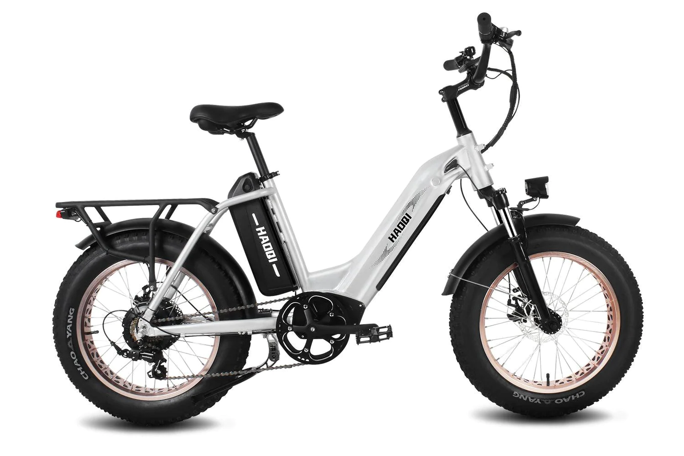 HAOQI Silver Antelope Pro 750W Dual Battery Cargo Electric Bike