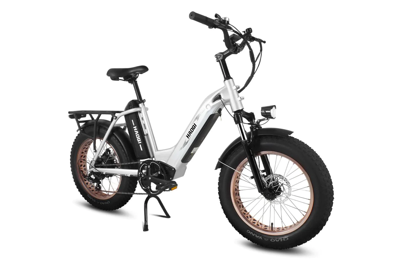 HAOQIE Silver Antelope Pro 750W Dual Battery Cargo Electric Bike FR