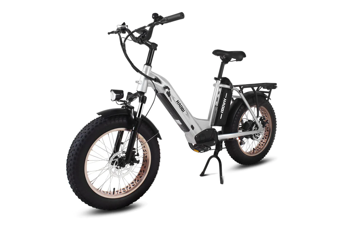 HAOQIE Silver Antelope Pro 750W Dual Battery Cargo Electric Bike FL