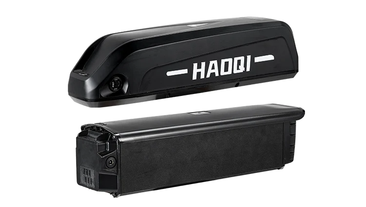 HAOQIE Silver Antelope Pro 750W Dual Battery Cargo Electric Bike Batteries