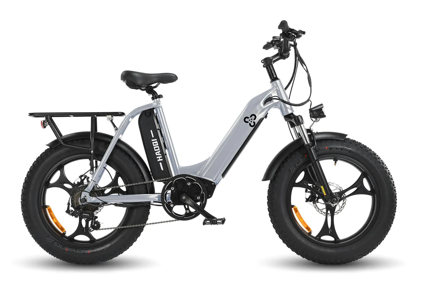 HAOQI Antelope Dual Battery 500W Cargo Electric Bike Silver R