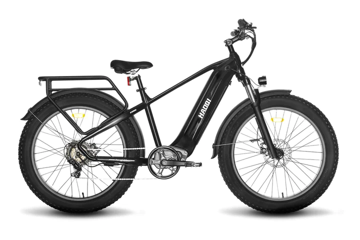 HAOQI Upgraded Eagle Step Over Long Range Electric Bike