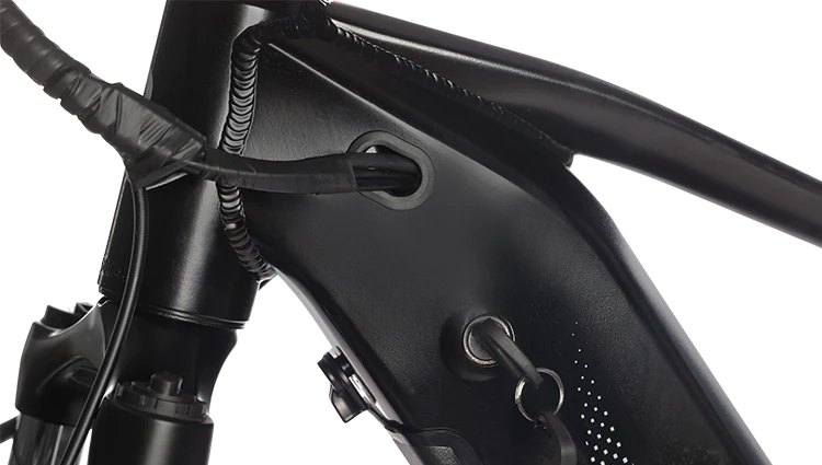 HAOQI Upgraded Eagle Step Over Long Range Electric Bike Cabling Detail Keys L