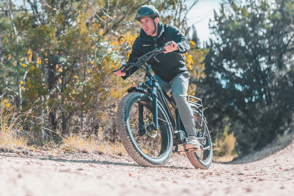 HAOQI Upgraded Eagle Step Over Long Range Electric Bike Lifestyle FL