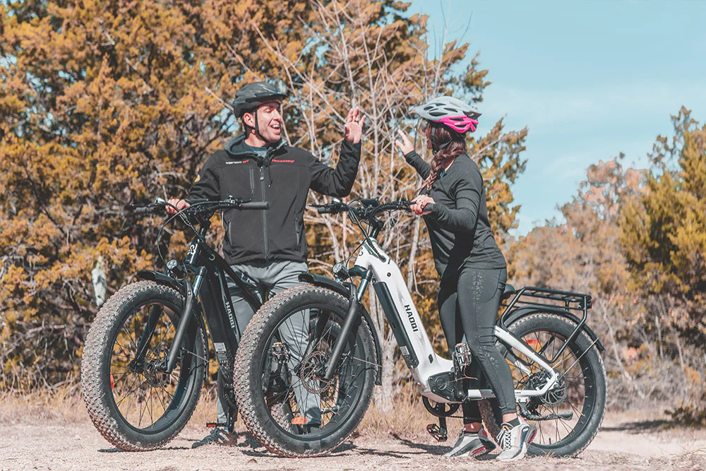 HAOQI Upgraded Eagle Step Thru Long Range Electric Bike Lifestyle 2x FL