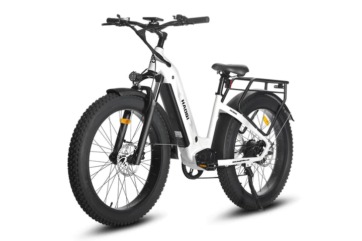 HAOQI Upgraded Eagle Step Thru Long Range Electric Bike FL