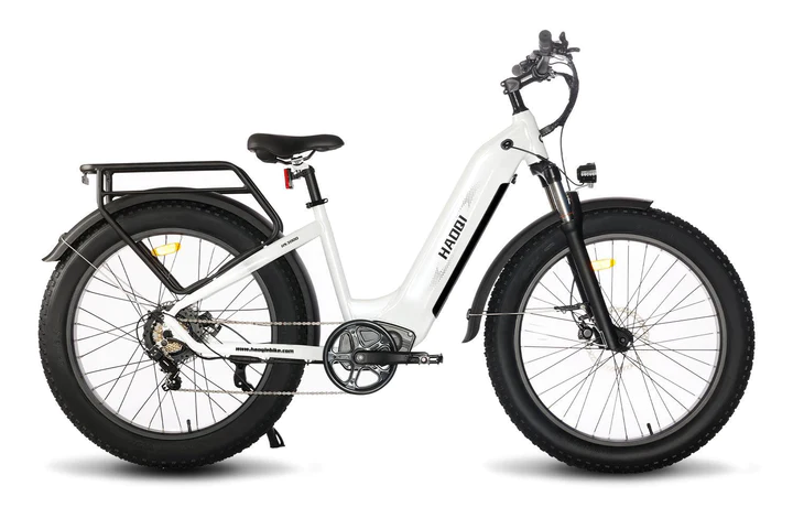 HAOQI Upgraded Eagle Step Thru Long Range Electric Bike