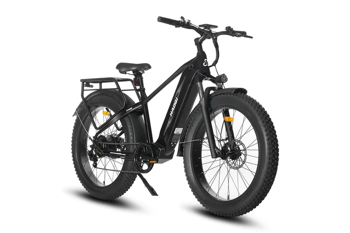 HAOQI Eagle Step Over Long Range Electric Bike FR