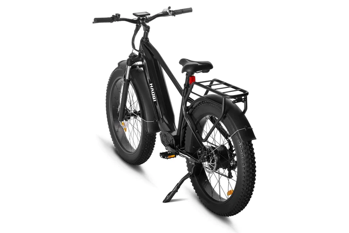 HAOQI Eagle Step Over Long Range Electric Bike BL