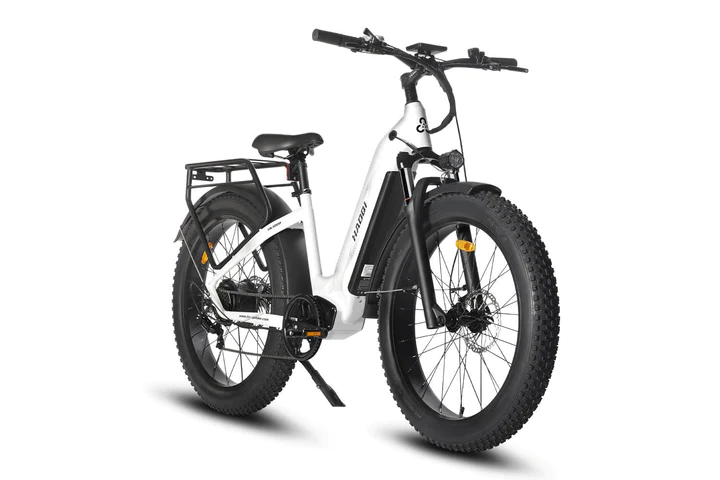 HAOQI Eagle Step Thru Long Range Electric Bike FR