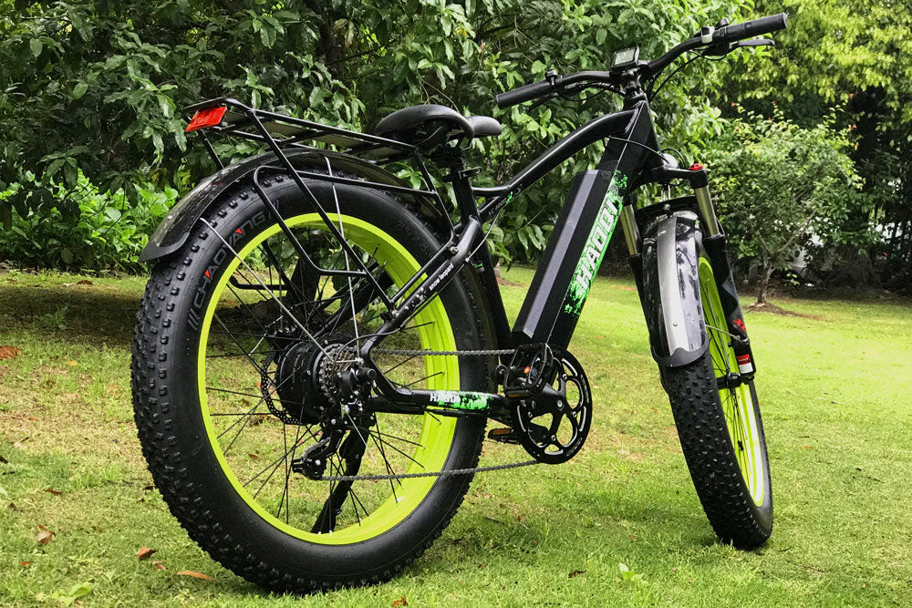 HAOQI Green Leopard Pro Fat Tire Electric Bike Lifestyle BR2