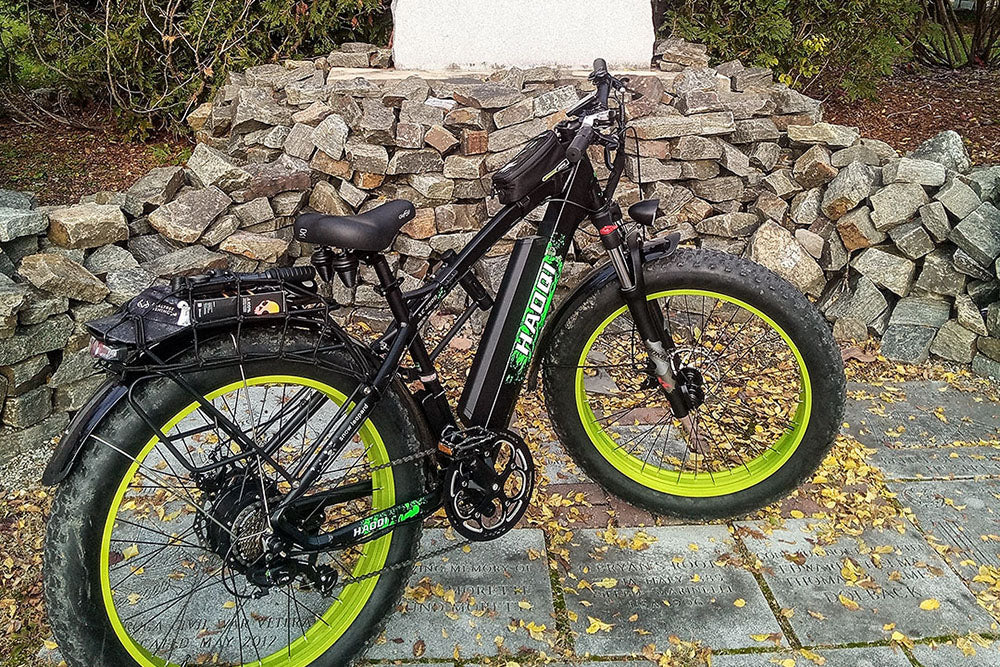 HAOQI Green Leopard Pro Fat Tire Electric Bike Lifestyle BR