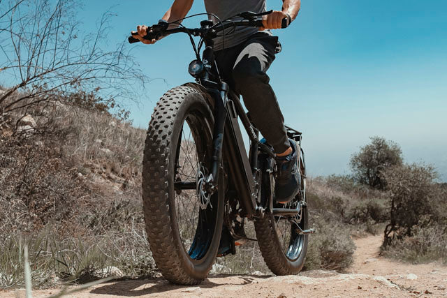 HAOQI Black Leopard Step Over Fat Tire Electric Bike Lifestyle FL