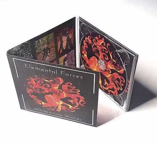 6-panel Digipak CD with clear tray