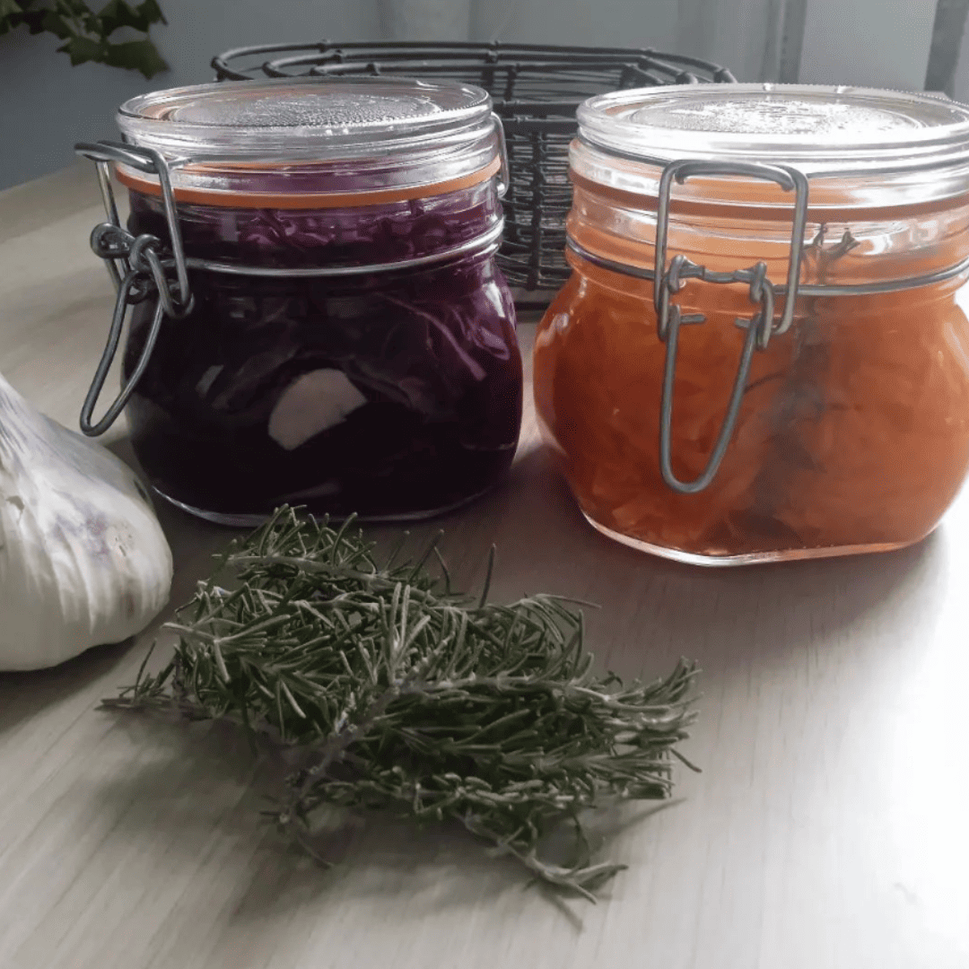 Mes premières lacto fermentations