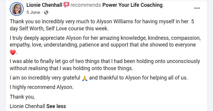 Michelle Lynn Marchand Recommendation for Alyson Williams