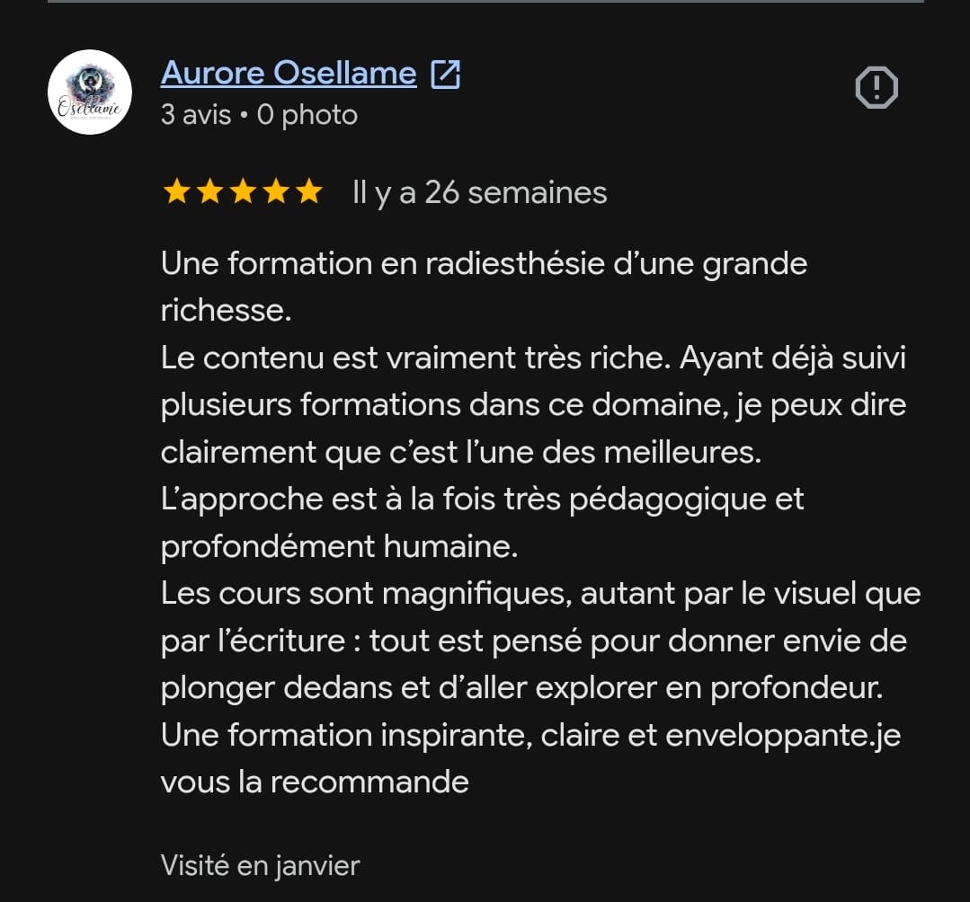 Avis Google