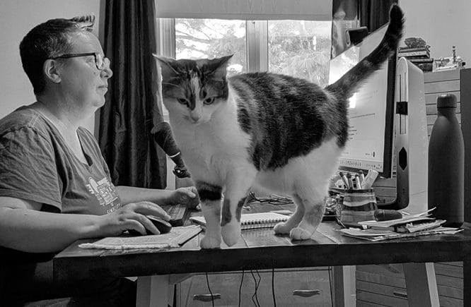 Stéphanie à son bureau, pendant que Juliette, sa chatte, marche devant l'écran.
