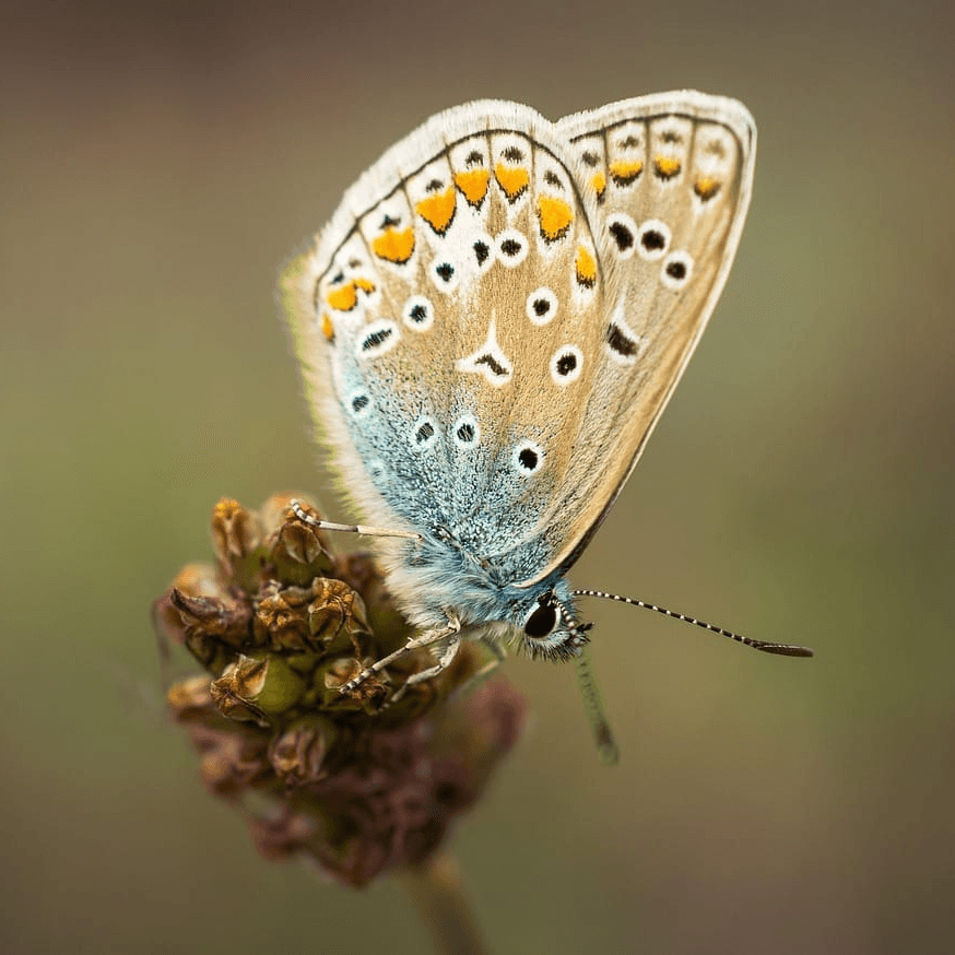 Apaiser le vide, retrouver son centre