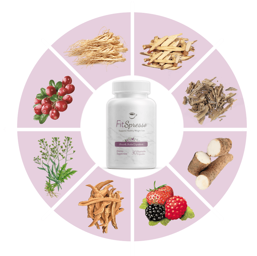 FitSpresso ingredients and botanical formula