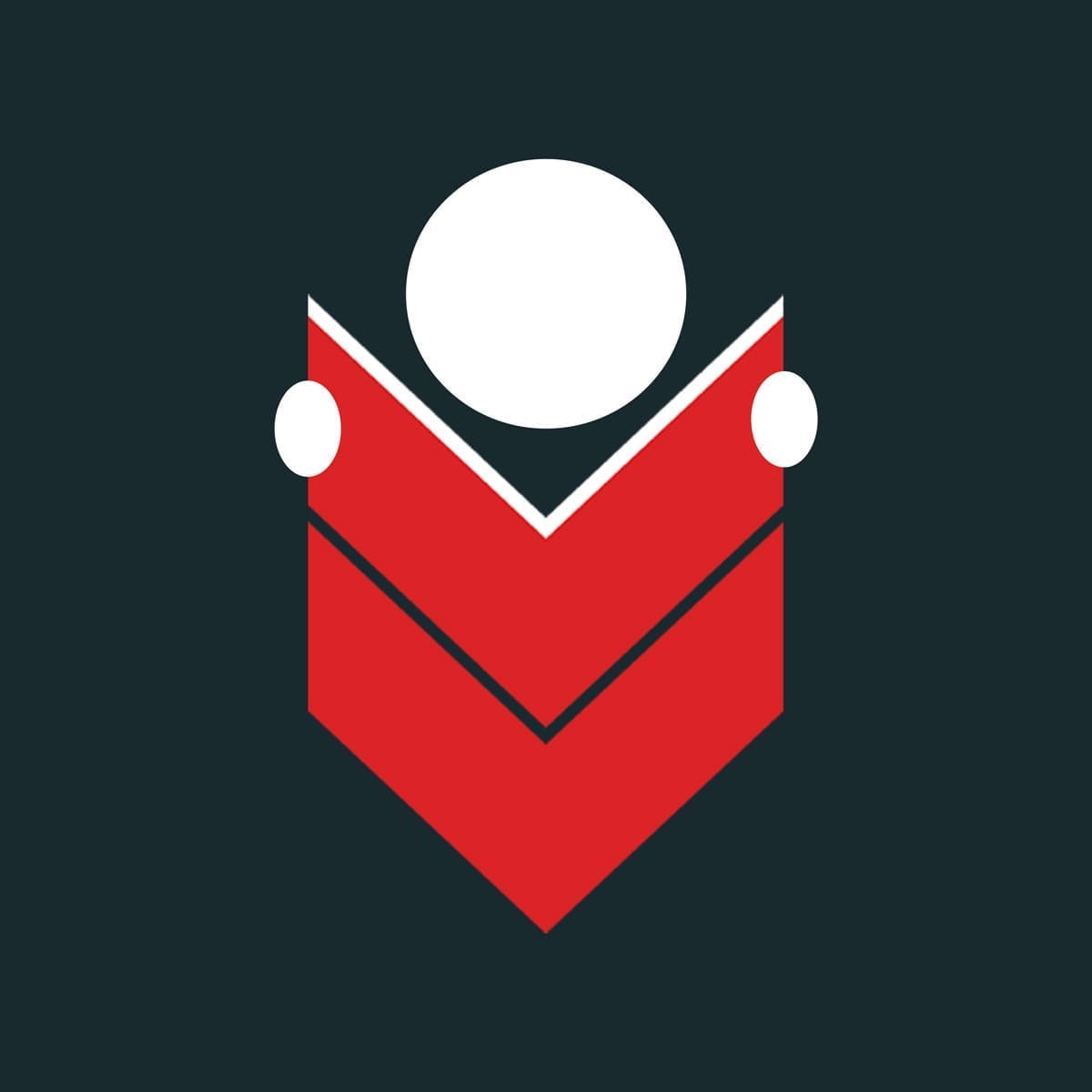 Campaign design and visual identity for Books Raise Standards – branding project