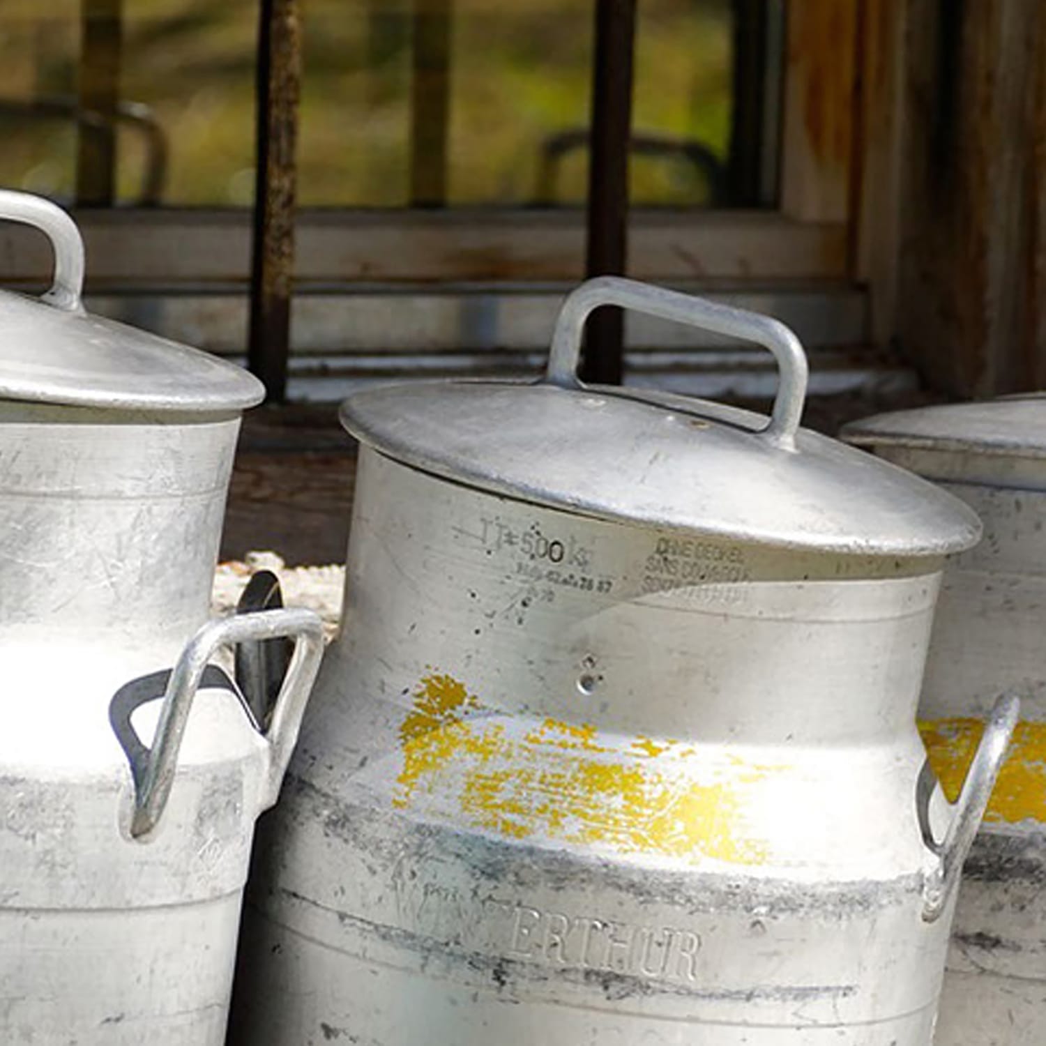 Milk churns supporting the Saffron Ice Cream branding story