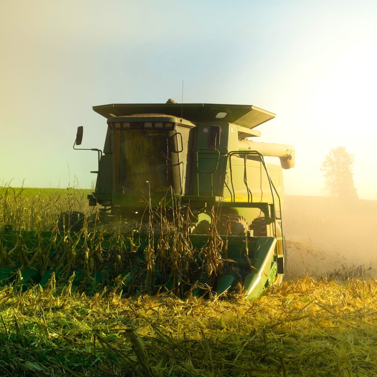 Agricultural harvest scene – brand storytelling imagery for Thacker’s Tortilla Chips