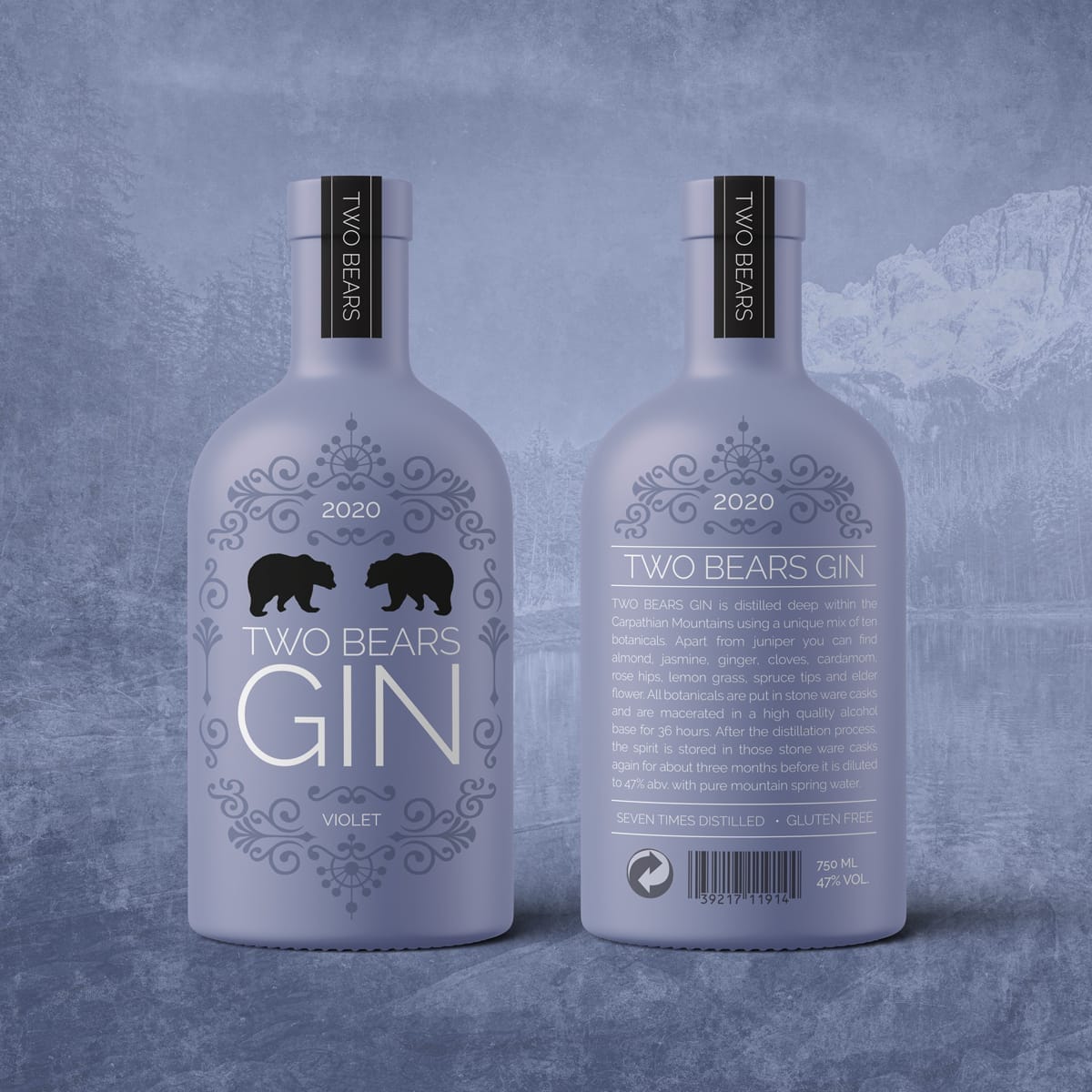 FMCG packaging design for Two Bears Gin – premium spirits branding