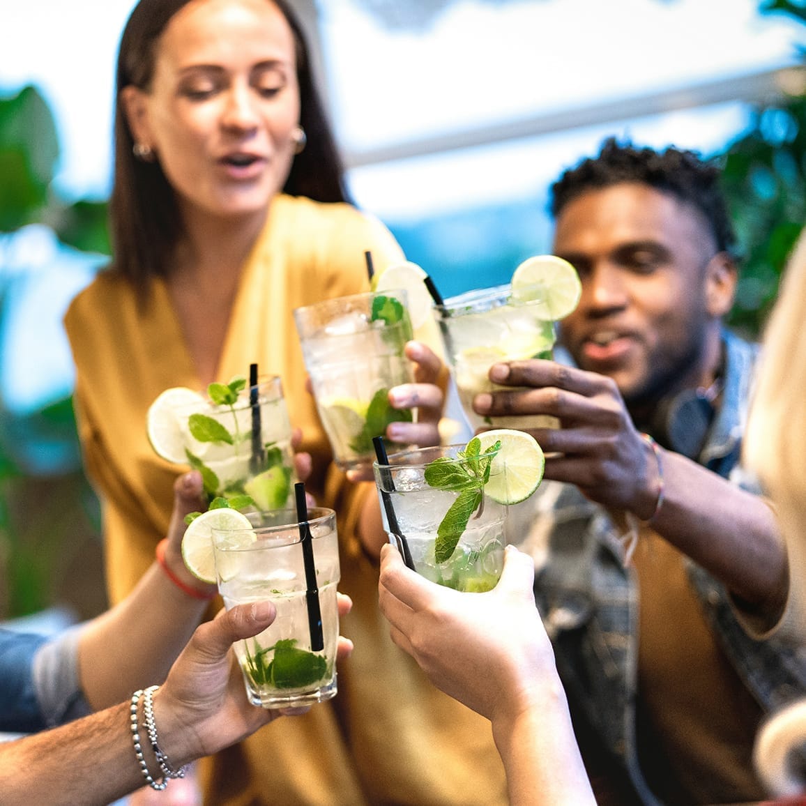 Friends toasting together in bar – Two Bears Gin brand marketing