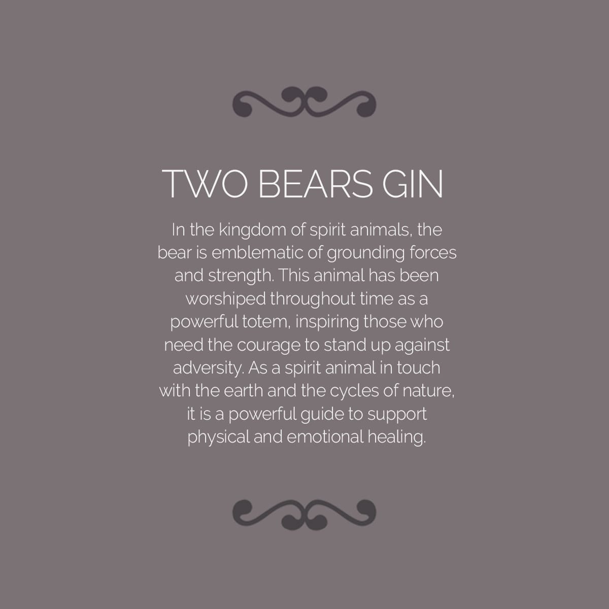 Two Bears Gin brand storytelling - Kingdom of the bear