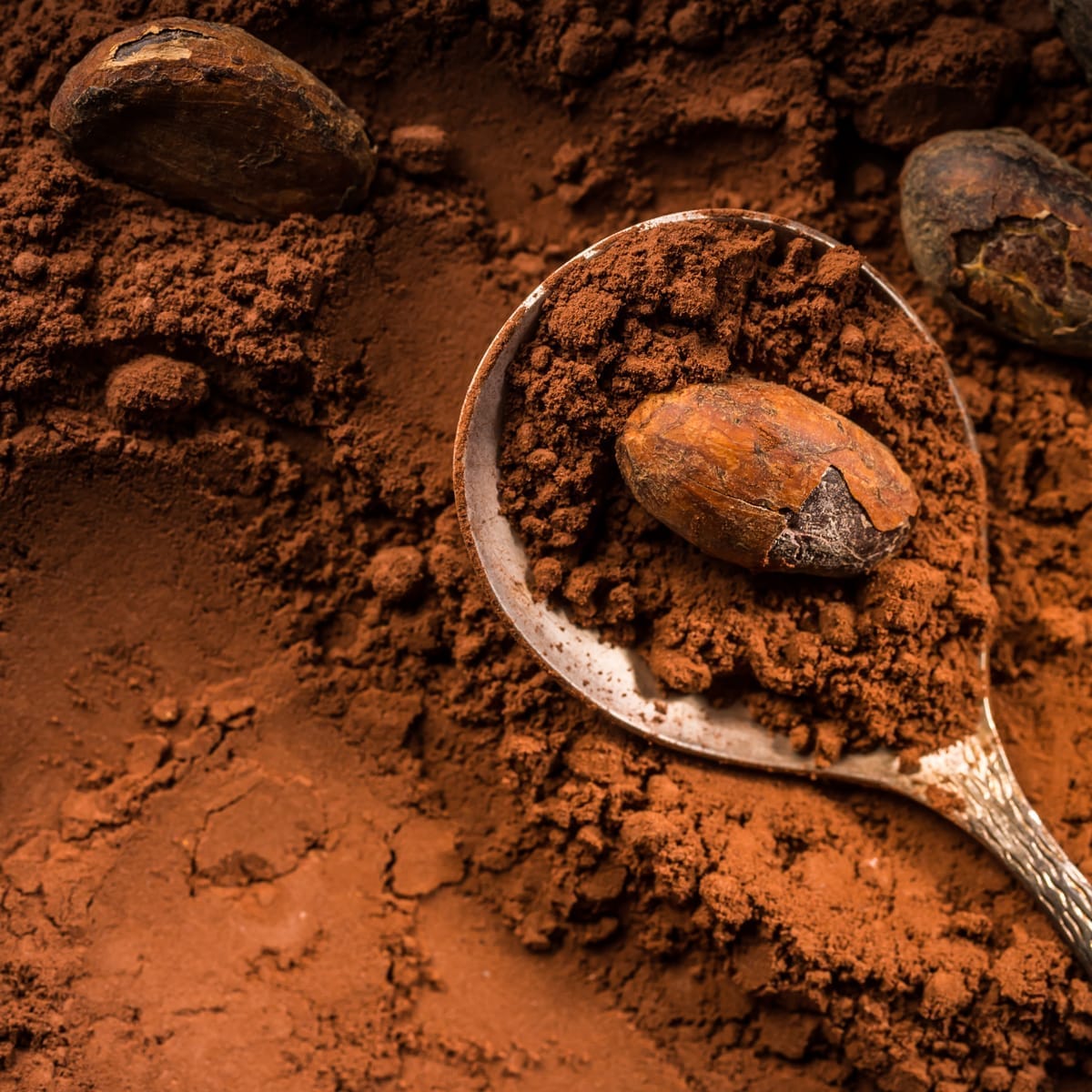 Raw cocoa powder for Heavenly Luxury Chocolate – brand ingredient context