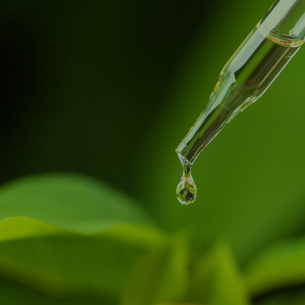 Pureskin Beauty Co ingredient-focused visual supporting FMCG skincare branding