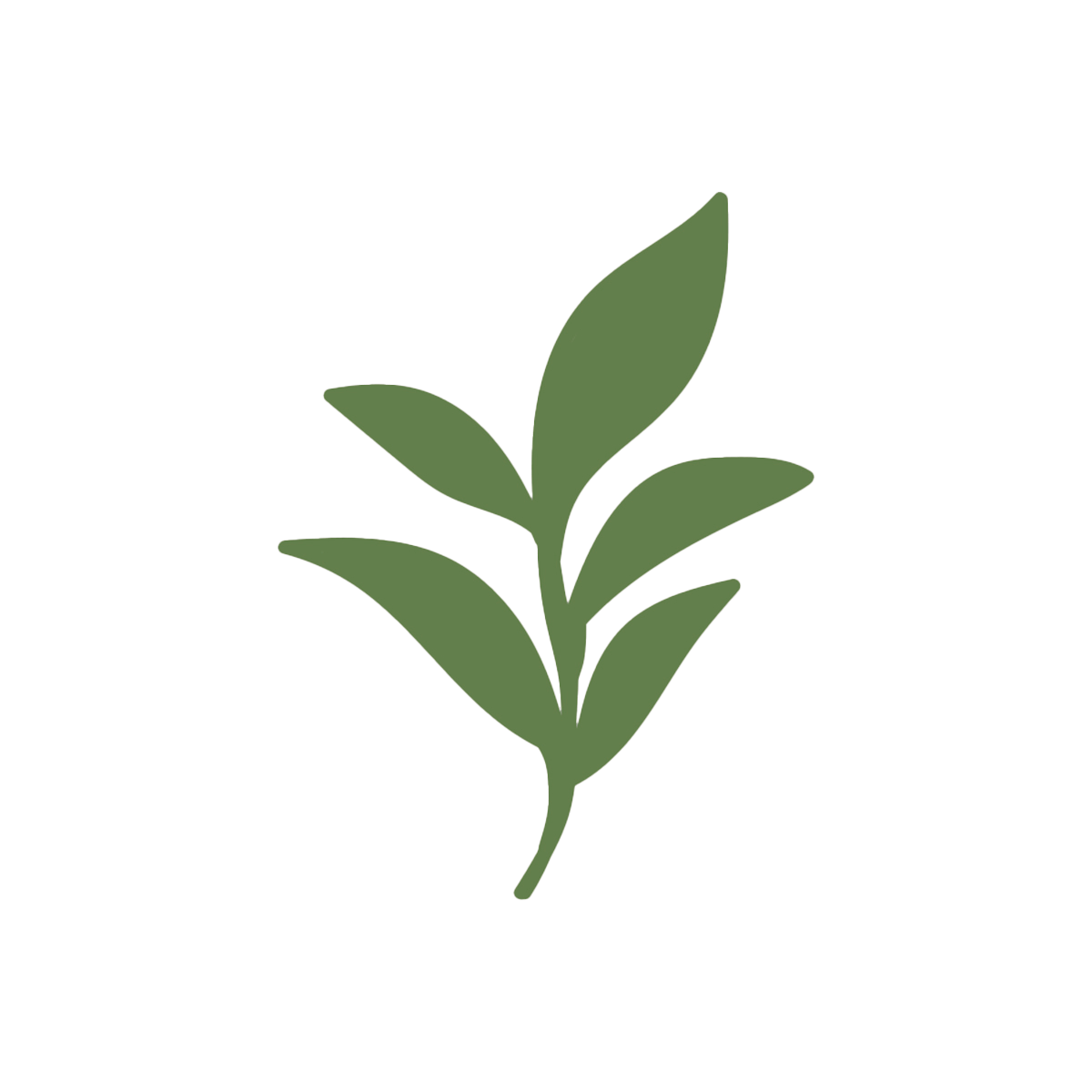 FMCG brand identity for Pureskin Beauty Co