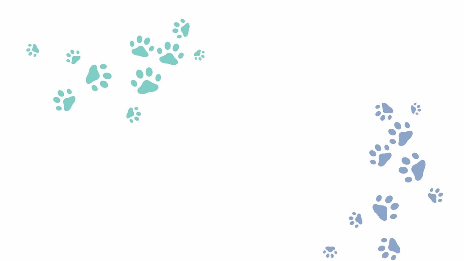 Ace Dog Sports