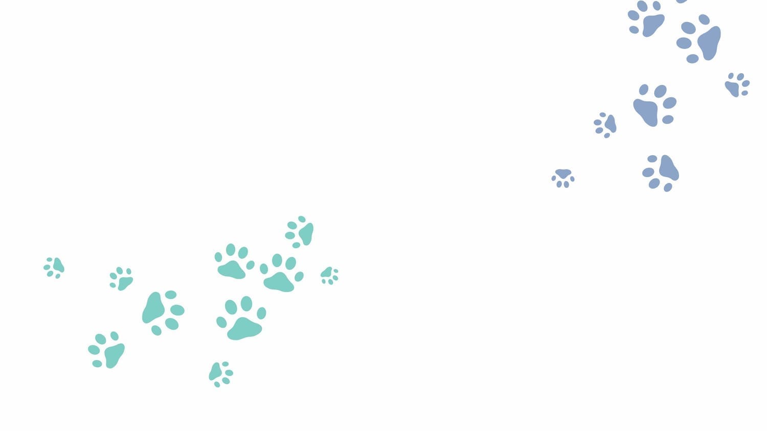 Ace Dog Sports