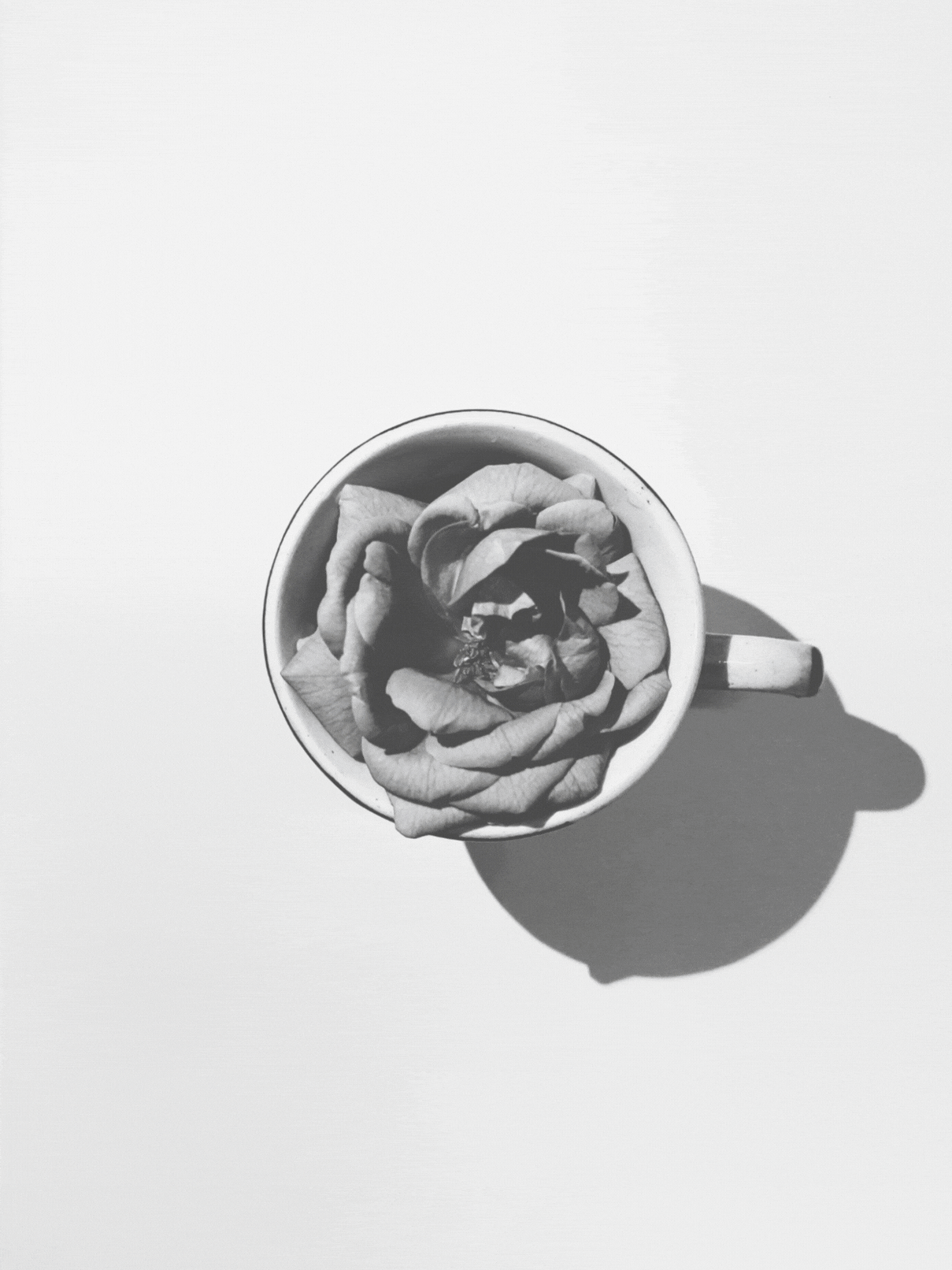 blanco y negro, diseño de landing page en Systeme.io