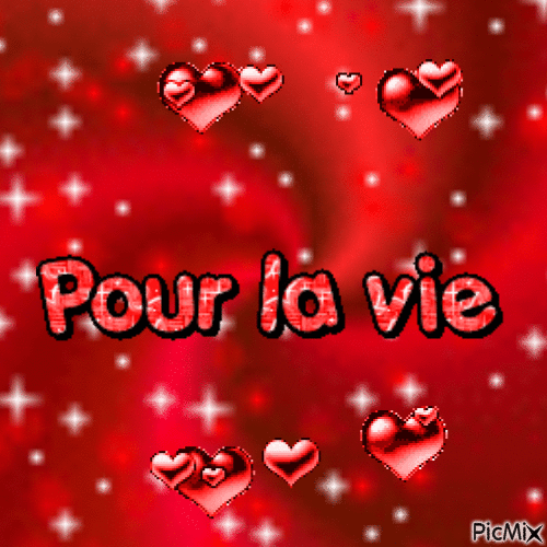 Une image contenant capture d’écran, rouge, Graphique, graphisme    Description générée automatiquement