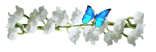 Une image contenant fleur, plante, papillon, pétale    Description générée automatiquement