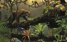 Jungle GIF sur GIFER - par Spellhunter