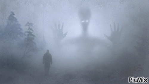 BROUILLARD - GIF animé gratuit - PicMix