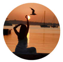 Une image contenant silhouette, oiseau, plein air, coucher de soleil Description générée automatiquement