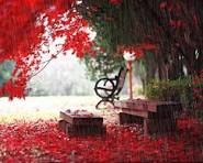 Imagenes De Jardines Gifs