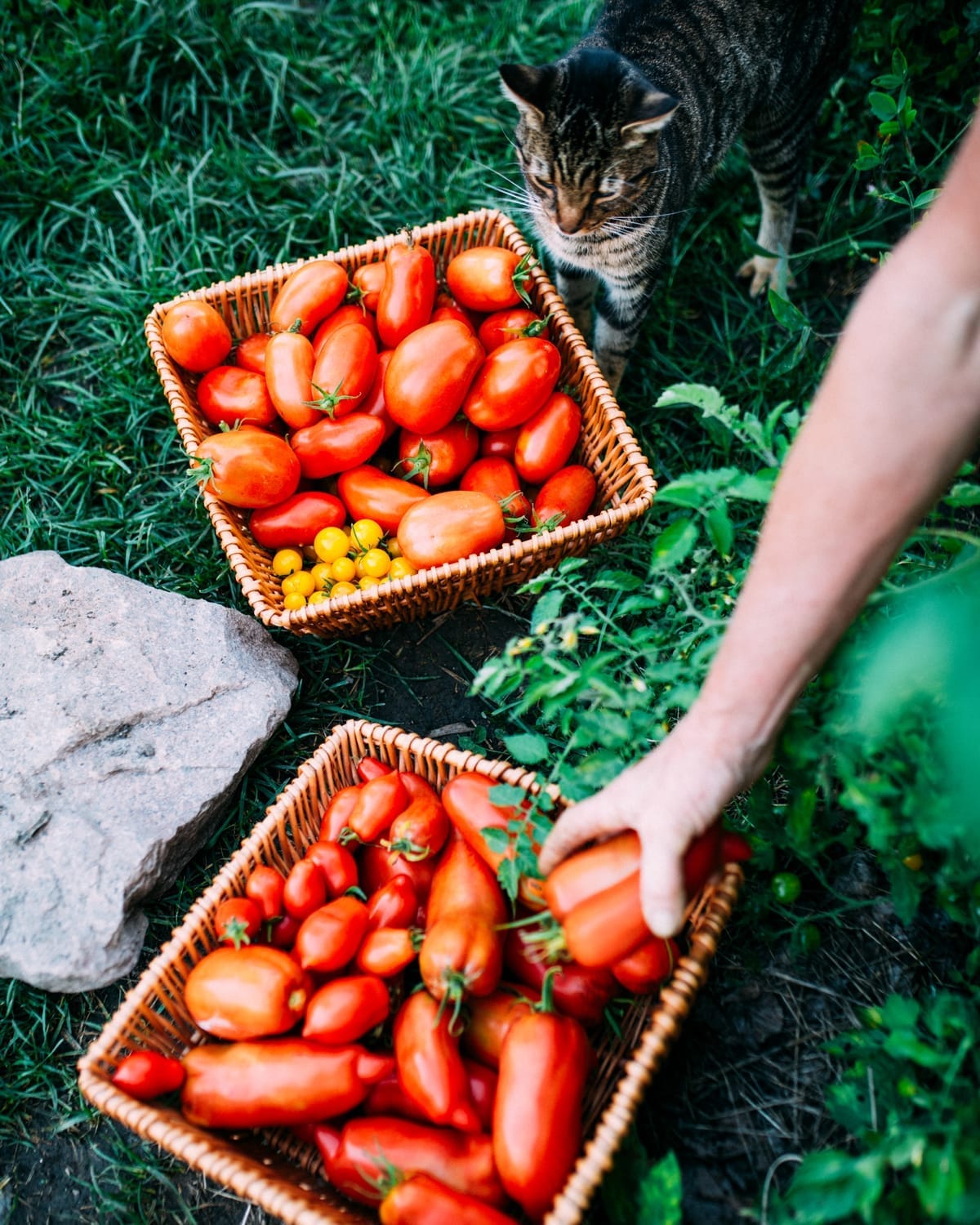 Bénéfices de l'autonomie