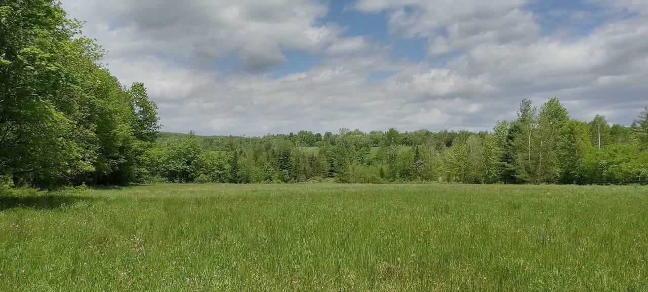Terrain de Nathalie, photo 1