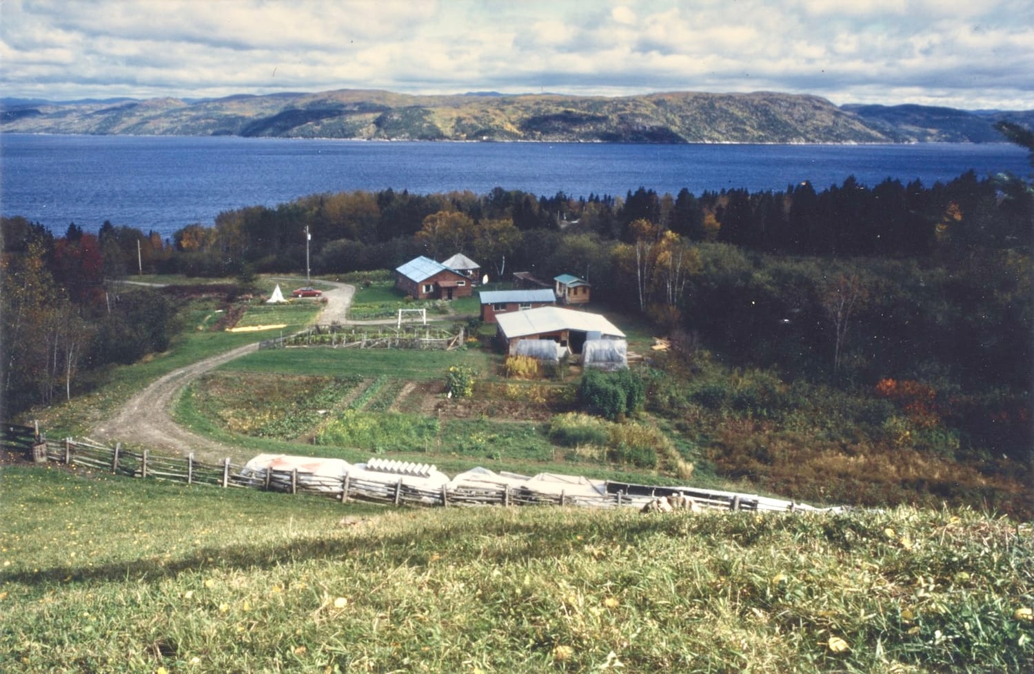 Le terrain avant l'aménagement