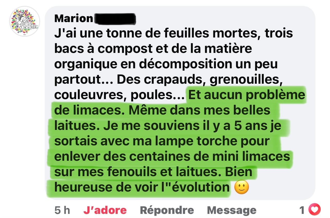 Jardin d'une personne accompagnée par Marie Thévard