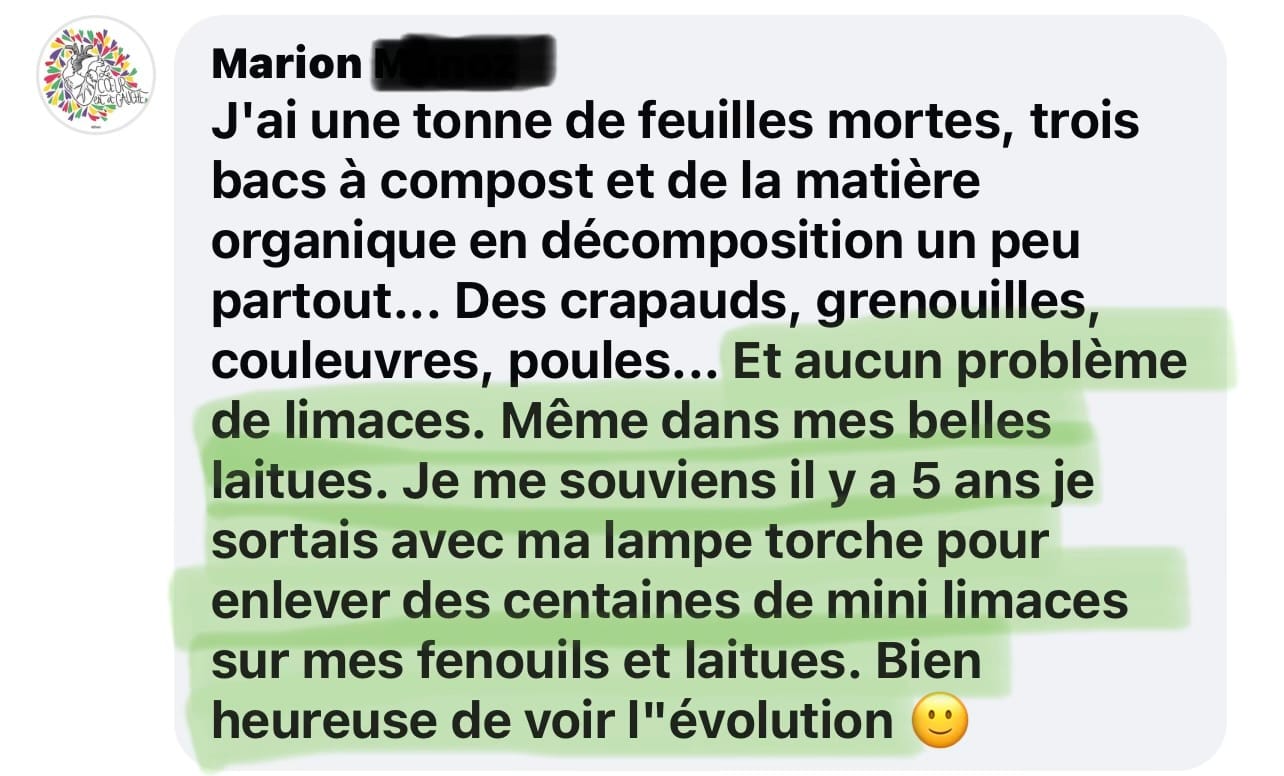 Témoignage sur la formation vidéo
