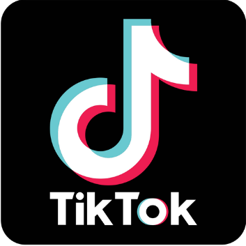 TikTok Icon